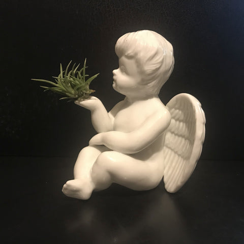 Tilla Critters Angel's Kiss One of a Kind Airplant Creations by Chili Fiesta Handiworks