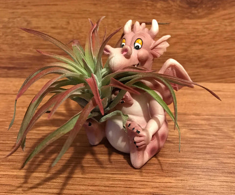 Tilla Critters Draggo One of a Kind Airplant Creations by Chili Fiesta Handiworks