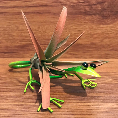 Tilla Critters Gordon Gekko One of a Kind Airplant Creations by Chili Fiesta Handiworks