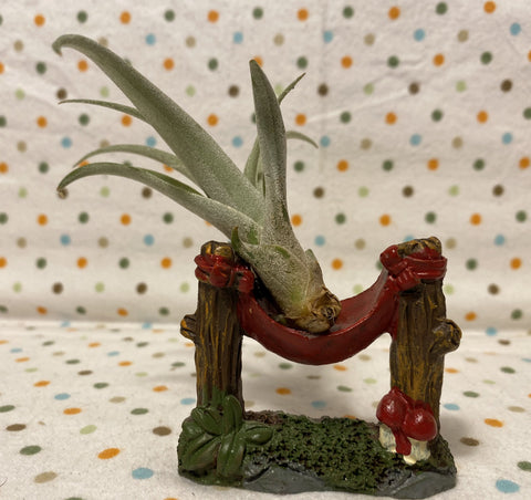 Tilla Critters Hammock Hanging One of a Kind Airplant Creations by Chili Fiesta Handiworks