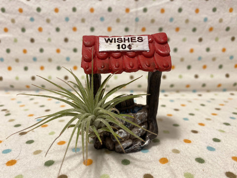 Tilla Critters Make a Wish One of a Kind Airplant Creations by Chili Fiesta Handiworks