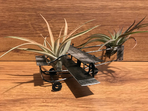 Tilla Critters Orville & Wilbur One of a Kind Airplant Creations by Chili Fiesta Handiworks